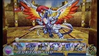 パズドラZ 黄金郷エデン 攻略  竜の兵舎 炎聖騎龍・フォーミュラー