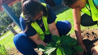 Our Town: Gulfton Mothers Host Park Activities to Bring Community Together in Green Spaces