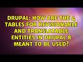 How are the 4 tables for revisionable and translatable entities in Drupal 8 meant to be used?