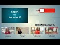 teeth reveal lifetime exposures to metals toxins tioga dental u0026 orthodontics