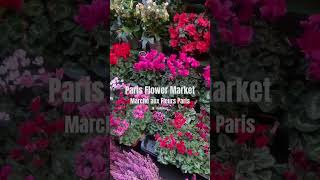 Paris Marché aux Fleurs | Exotic Flower market in Paris #exoticflowers #flowermarket #travelparis