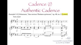 미국음대에서 배우는 음악이론/ Cadence (1) 종지, Authentic Cadence 정격종지