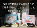 【ご報告】プリンとパールと今後について。