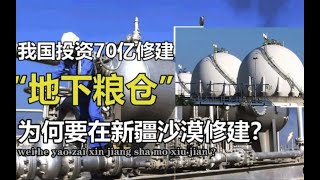 我国投资70亿，修建新疆沙漠“地下粮仓”，如今怎么样了？ (1)