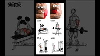 4 Best Exercise for Biceps and Triceps Workout at Gym