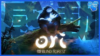 #1【名作】声と映像の綺麗さに定評がある「オリとくらやみの森 / Ori and the Blind Forest」