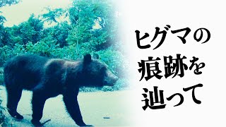 Dark Forest　ヒグマの痕跡を辿って【テレ東BIZドキュメンタリー】