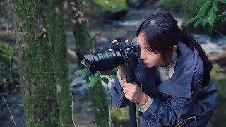 Family Vlog：悠久の森で森林浴（鹿児島県曽於市財部町／宮崎県高原町のトトロ）