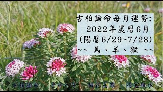 【古柏論命每月運勢】2022年農曆6月(陽曆6/29 ~ 7/28)生肖運勢分享 -  馬、羊、猴