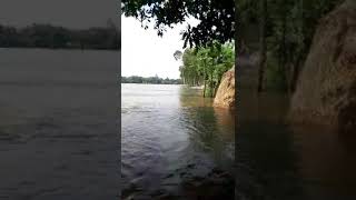 বাড়ি ঘরে উঠছে পানি