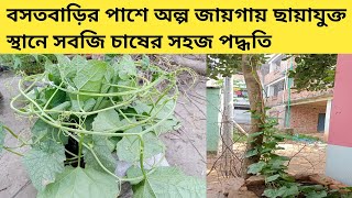 অল্প জায়গায় ছায়া যুক্ত স্থানে সহজে সবজি চাষের পদ্ধতি(Methods of growing vegetables in shaded areas)