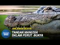 ANCAMAN BUAYA | Rangka Tangan Manusia Ditemui Dalam Perut  Buaya