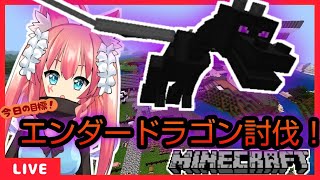 雑談しながら【マイクラ】やるよ！【参加型】【新人vtuber 】