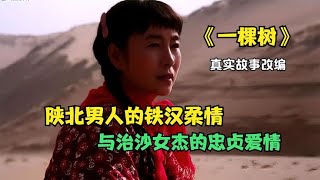 《一棵樹》：一件平凡的事堅持到極致便是偉大，治沙女杰的故事 #阿智解說 #電影解說 #電影 #解說 #解析