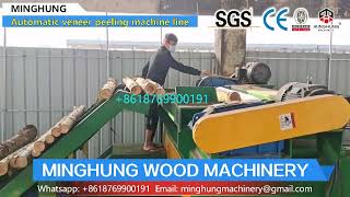 MINGHUNG veneer peeling machine line