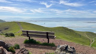 Coyote Hills Regional Park, Fremont CA 2/20/2023