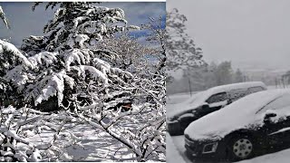 neige en Kabylie,en direct de Michelet ❤️❤️