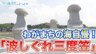 わがまちの海自慢！菊港の「波しぐれ三度笠」 日本財団 海と日本PROJECT in とっとり 2021 #12