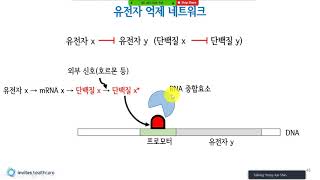 2강 - 유전자 억제 네트워크