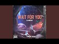 Wait for You (Cymatic Vocals)