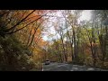 road to oirase stream and lake towada autumn in tohoku