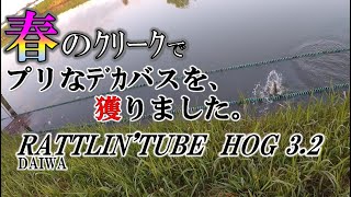 春の佐賀ｸﾘｰｸで最高なデカバスが獲れました。【バス釣り】＜右巻き大好き＞#44