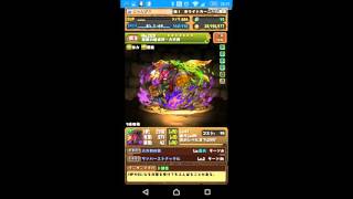 【パズドラ】金曜ダンジョン　高速周回　スキル継承