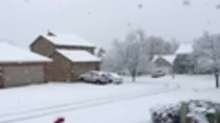 Video: Huge snowflakes in Novi