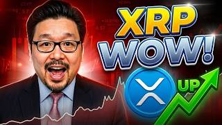 Breaking Xrp Just Changed Everything