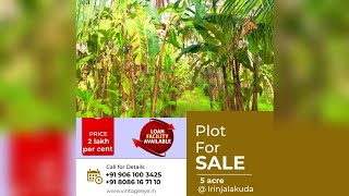 Plot for sale || Irinjalakuda || Thrissur || 5 acre || Road side || Nice plot ||