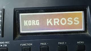 KORG KROSS 2 HANG PROBLEM PANNEL BORD NOT RESPONDING REPAIR