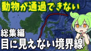 【総集編】眠れなくなるほど面白い生物の謎５選【ずんだもん解説】