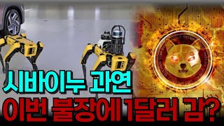 [시바이누코인] 과연 이번불장엔 1달러를?