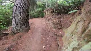 Taniwha mtb race 43 km 2024