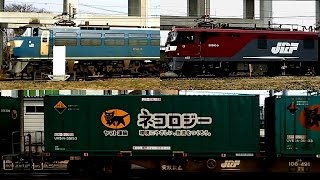 【ENG SUB】宇都宮線・東北本線コンテナ貨物列車 Japanese Freight Train