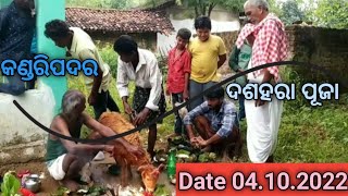 kandaripadar New Video ଦଶହରା ପୂଜା ଭିଡ଼ିଓ କଣ୍ଡରିପଦର @TNMNatyasansad