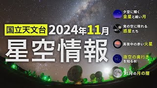 2024年11月の星空情報（夜空に輝く金星と細い月／宵の空に現れる惑星たち／真夜中の赤い火星／夜空の奥行きを知る秋／11月の月の暦）