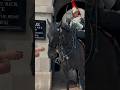 GUARD REINS HORSE CAREFULLY FOR THIS💂| Horse Guards, Royal guard, Kings Guard, Horse, London, 2024