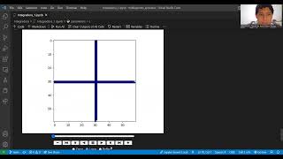 Video demostrativo agentpy