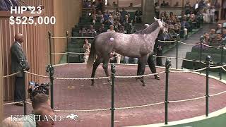 Acting Out sells for $600,000 at the 2022 April Horses of Racing Age Sale
