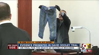 Evidence presented in David Dooley trial