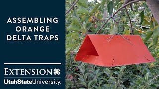 How to Assemble a Large Plastic Delta Trap