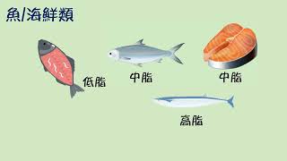 團衛- 六大類食物-豆魚蛋肉類