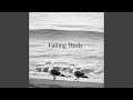 Falling Birds