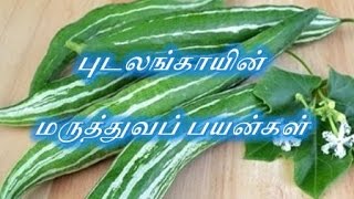 புடலங்காயின் மருத்துவப் பயன்கள்!!