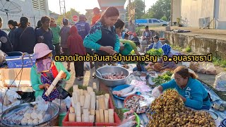 ตลาดนัดเช้าวันเสาร์บ้านนาเจริญ ต.ขามป้อม จ.อุบลฯลฯ ของป่า ปลานา กบนา อาหารตามฤดูกาล #ตลาดนัด