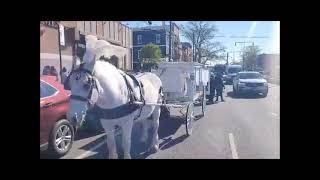 White Horse and Funeral Carriage Ponce Funeral Home Brooklyn NY April 23 2021