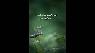 Kalyaana Maalai ll Pudhu pudhu arthangal ll whatsapp status video