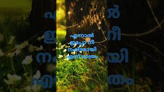 ഇപ്പോ നീ നഷ്ടമായി #love #love_status #youtubeshorts