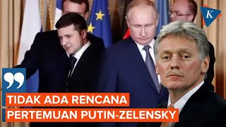 Jubir Rusia Tegaskan Tak Ada Pertemuan Putin-Zelensky Dalam Waktu Dekat